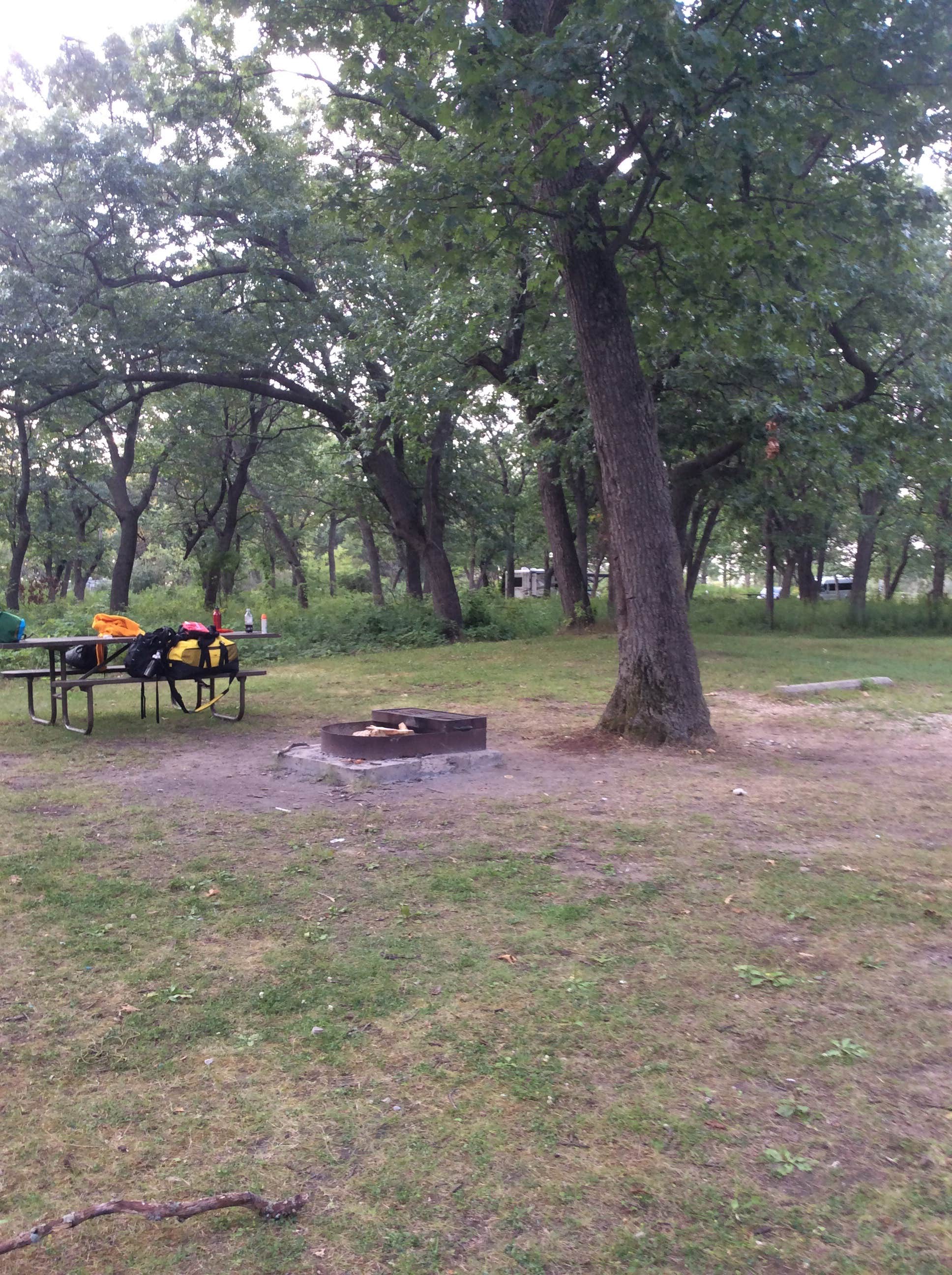 Camper-submitted photo at Adeline Jay-Geo Karis Illinois Beach State Park in Illinois