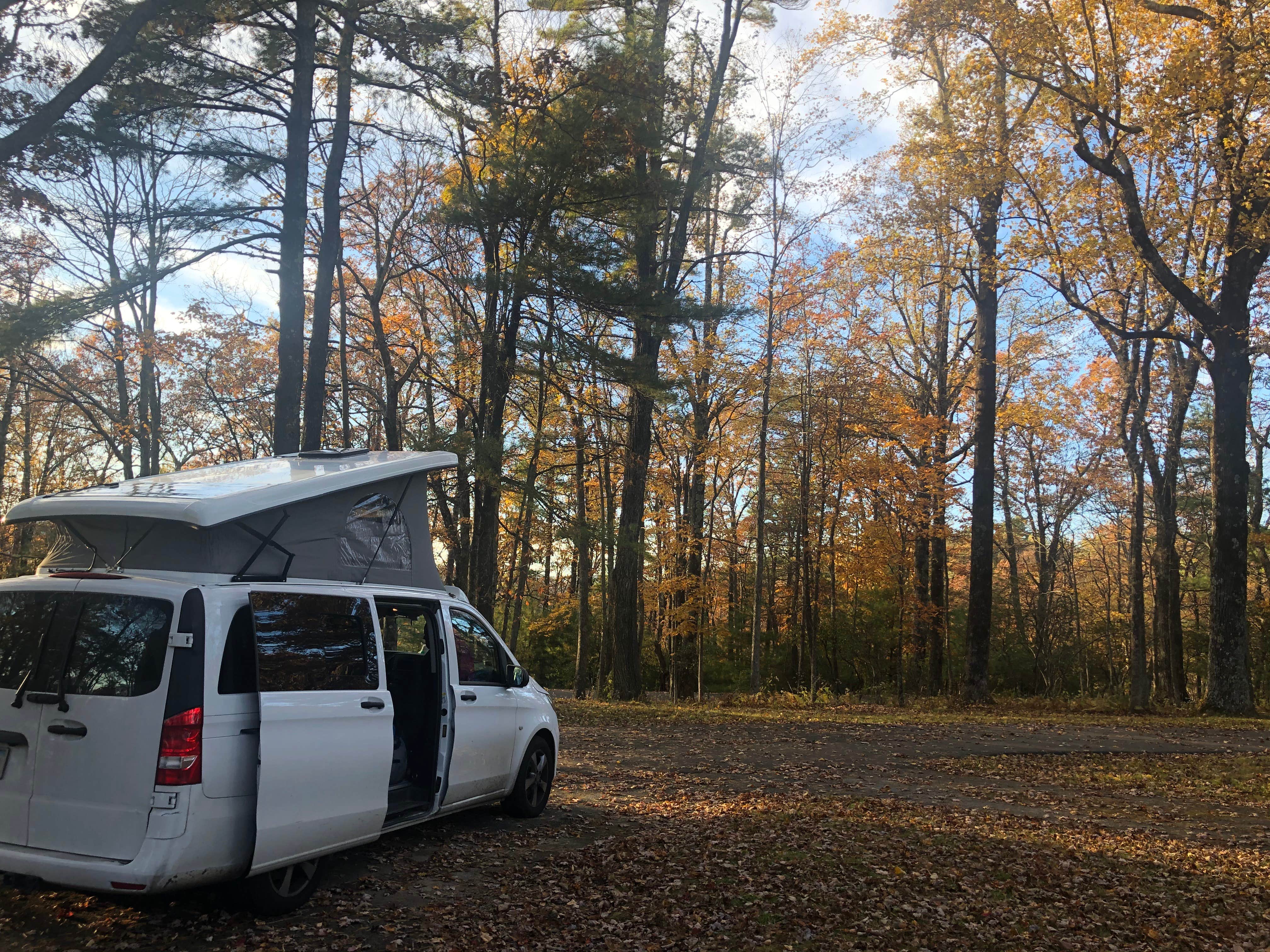 Lee D.'s photo of rv camping at Doughton Park Campground — Blue Ridge Parkway near Speedwell, VA