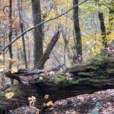 Review photo of Crabtree Falls Campground — Blue Ridge Parkway by Lee D., December 31, 2019