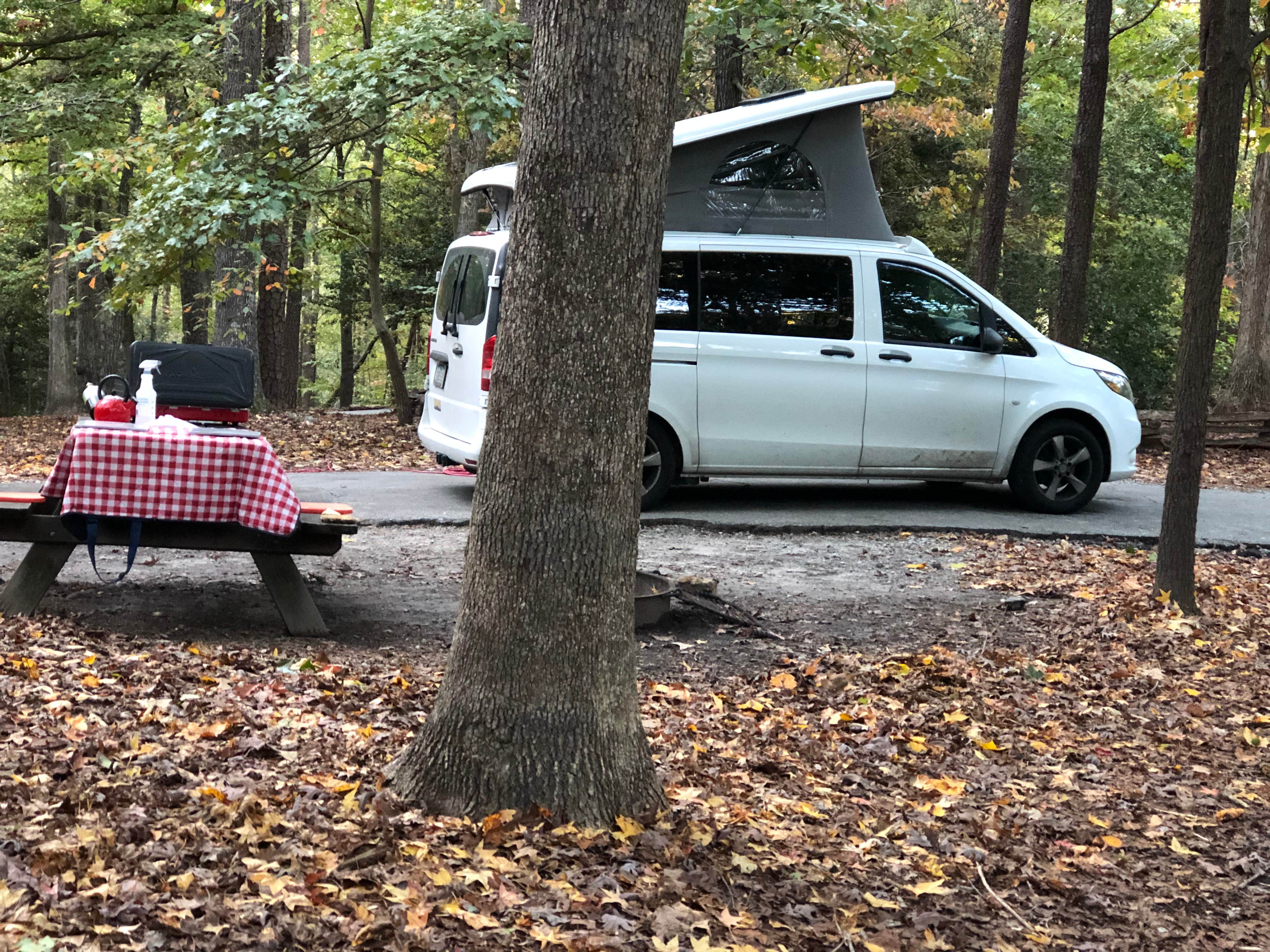 Lee D.'s photo of rv camping at Paris Mountain State Park Campground near Pelzer, SC