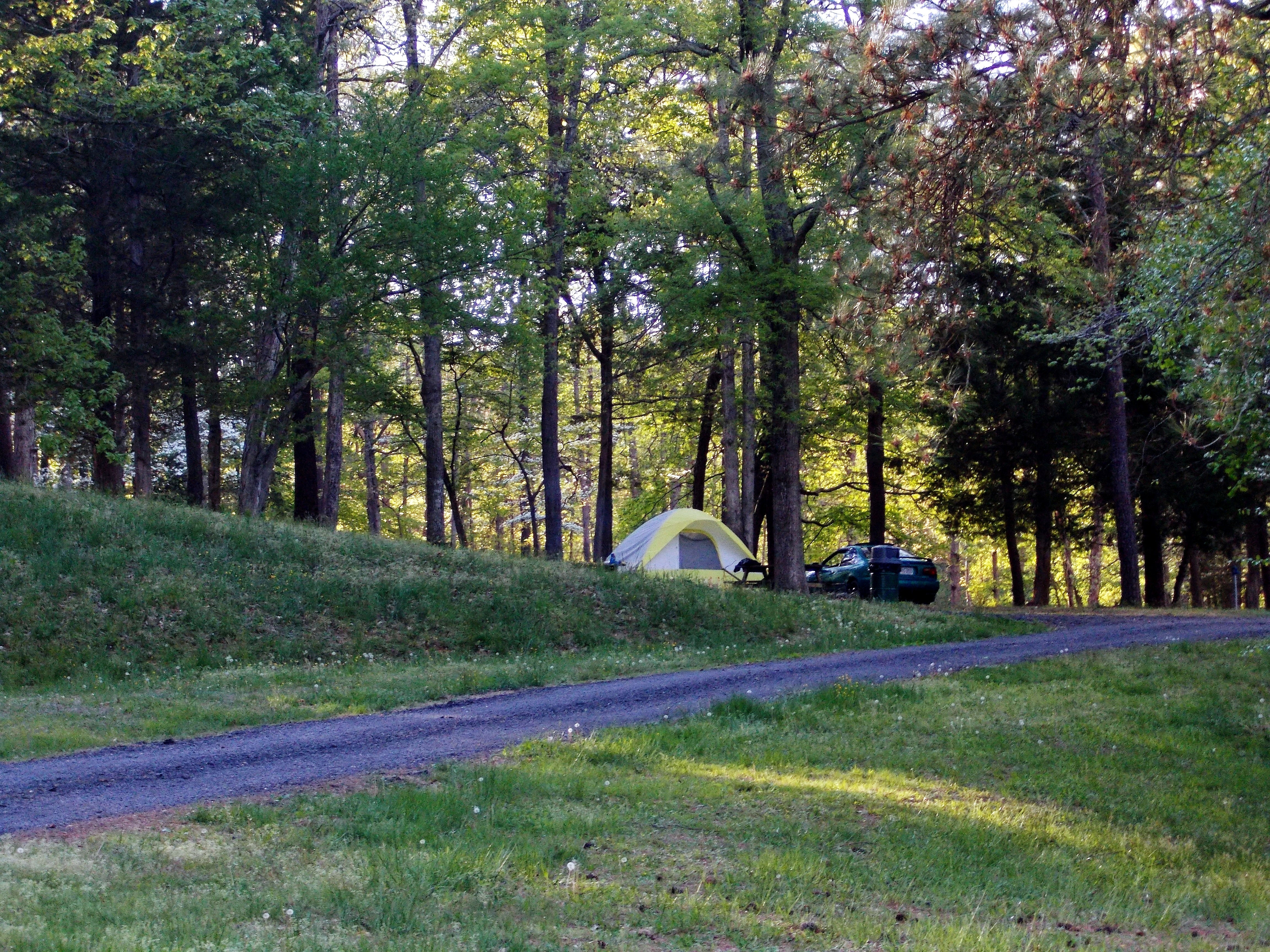 The tent sites are grassy and level ... for the most part.