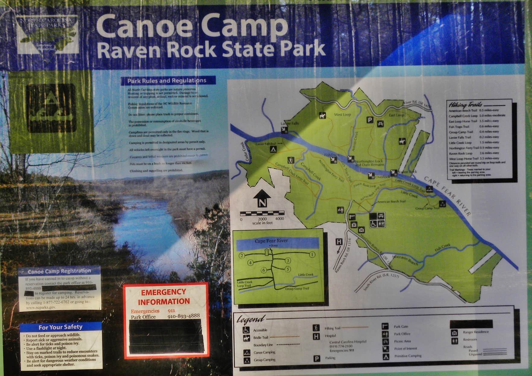 Camper submitted image from Canoe Camp — Raven Rock State Park - 5