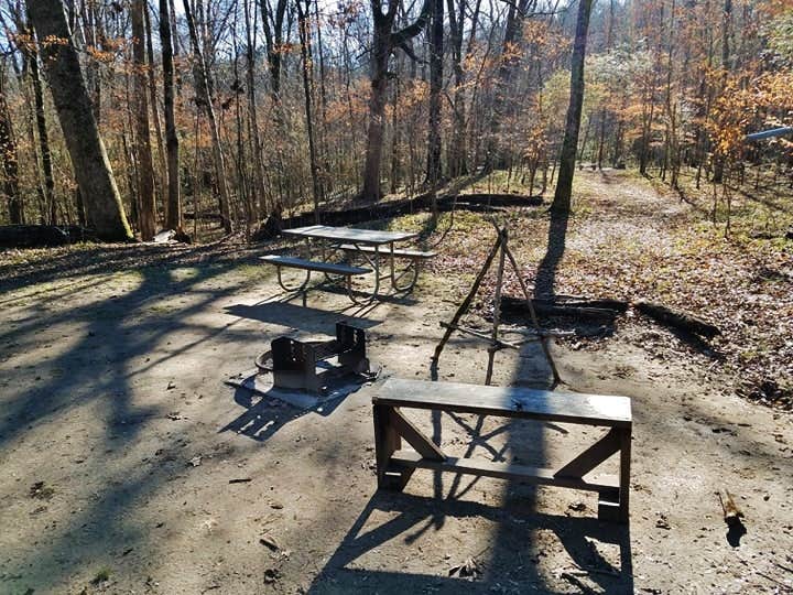 Camper-submitted photo at Canoe Camp — Raven Rock State Park near Southern Pines, NC