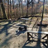 Review photo of Canoe Camp — Raven Rock State Park by Myron C., December 31, 2019