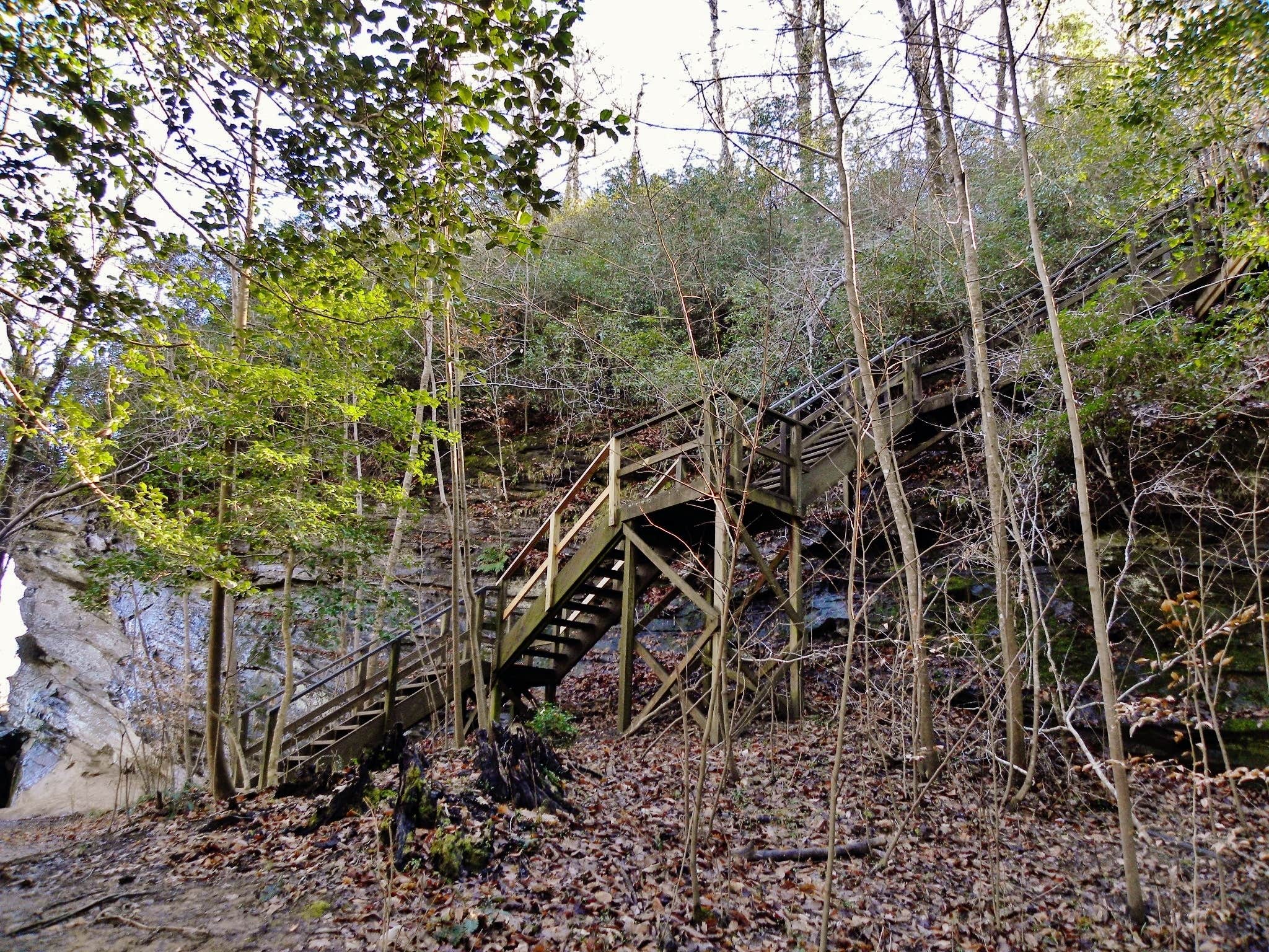 Myron C.'s photo of a cabin at Canoe Camp — Raven Rock State Park near Southern Pines, NC