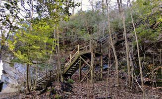 Myron C.'s photo of a cabin at Canoe Camp — Raven Rock State Park near Mamers, NC