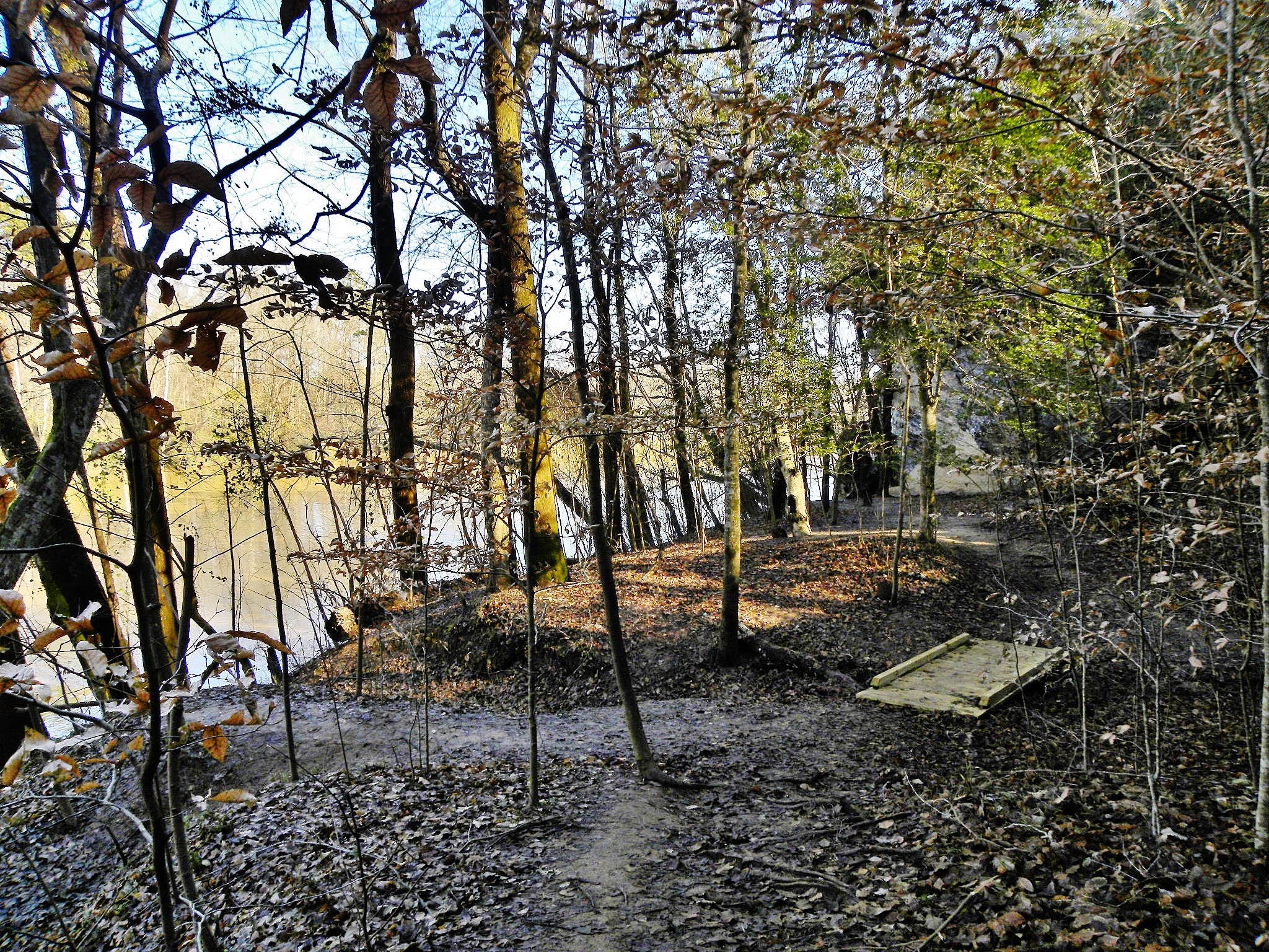 Camper-submitted photo at Canoe Camp — Raven Rock State Park near Lillington, NC