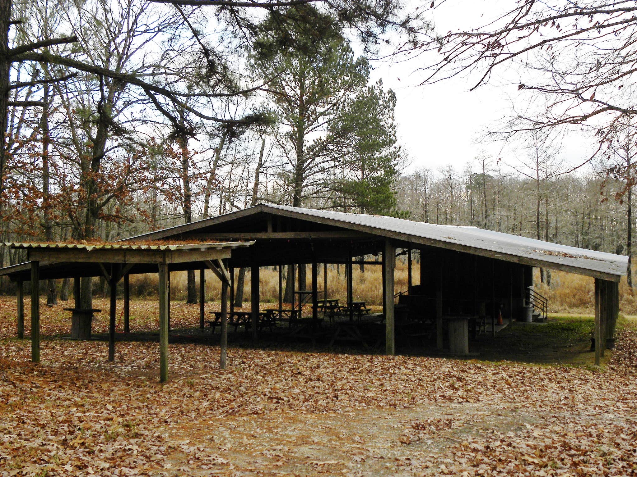 Camper submitted image from Maxwells Mill Campground - 3