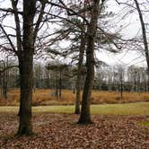 Review photo of Maxwells Mill Campground by Myron C., December 31, 2019