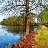 Review photo of Maxwells Mill Campground by Myron C., December 31, 2019