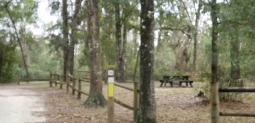 Camper submitted image from Withlacoochee SF/Croom Tract - Crooked River - Silver Lake Rec - 3