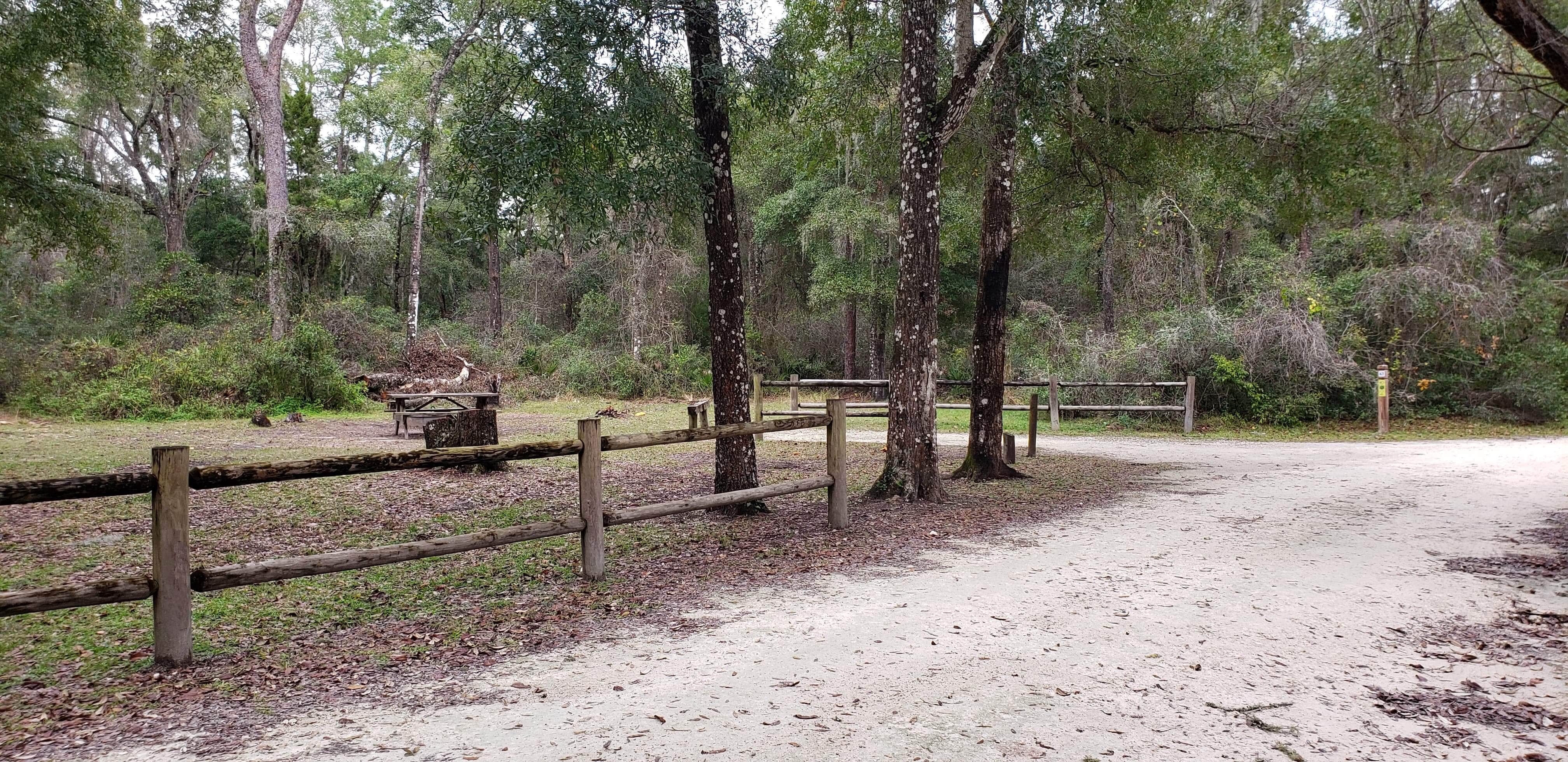 Camper-submitted photo at Crooked River Campground — Withlacoochee State Forest near Land O' Lakes, FL