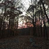 Review photo of Kentuck Campground — Ohiopyle State Park by Bounding Around , December 31, 2019