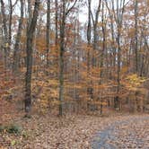 Review photo of Kentuck Campground — Ohiopyle State Park by Bounding Around , December 31, 2019