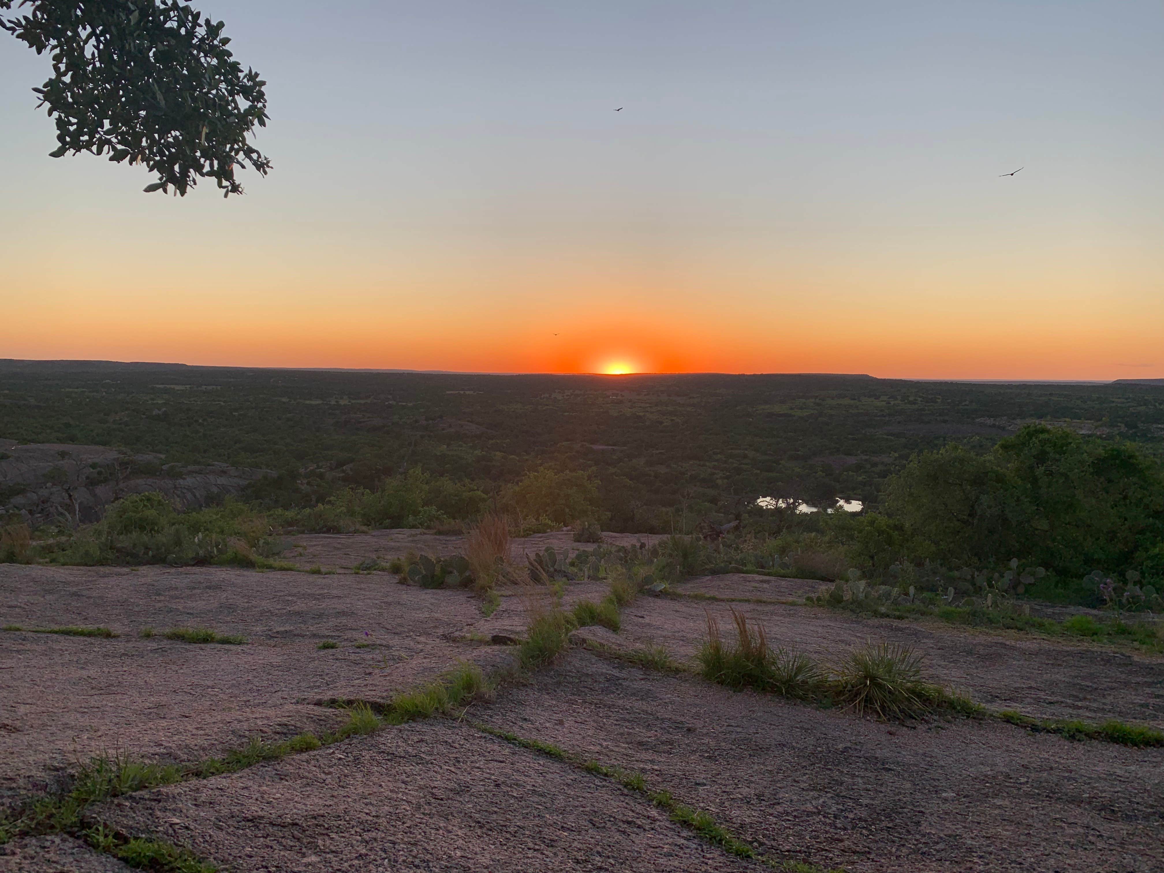 Camper submitted image from Lady Bird Johnson RV Park - 3