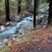 Review photo of Limekiln State Park Campground — TEMPORARILY CLOSED by Letícia I., December 31, 2019