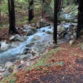 Review photo of Limekiln State Park Campground — TEMPORARILY CLOSED by Letícia I., December 31, 2019