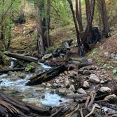Review photo of Limekiln State Park Campground — TEMPORARILY CLOSED by Letícia I., December 31, 2019