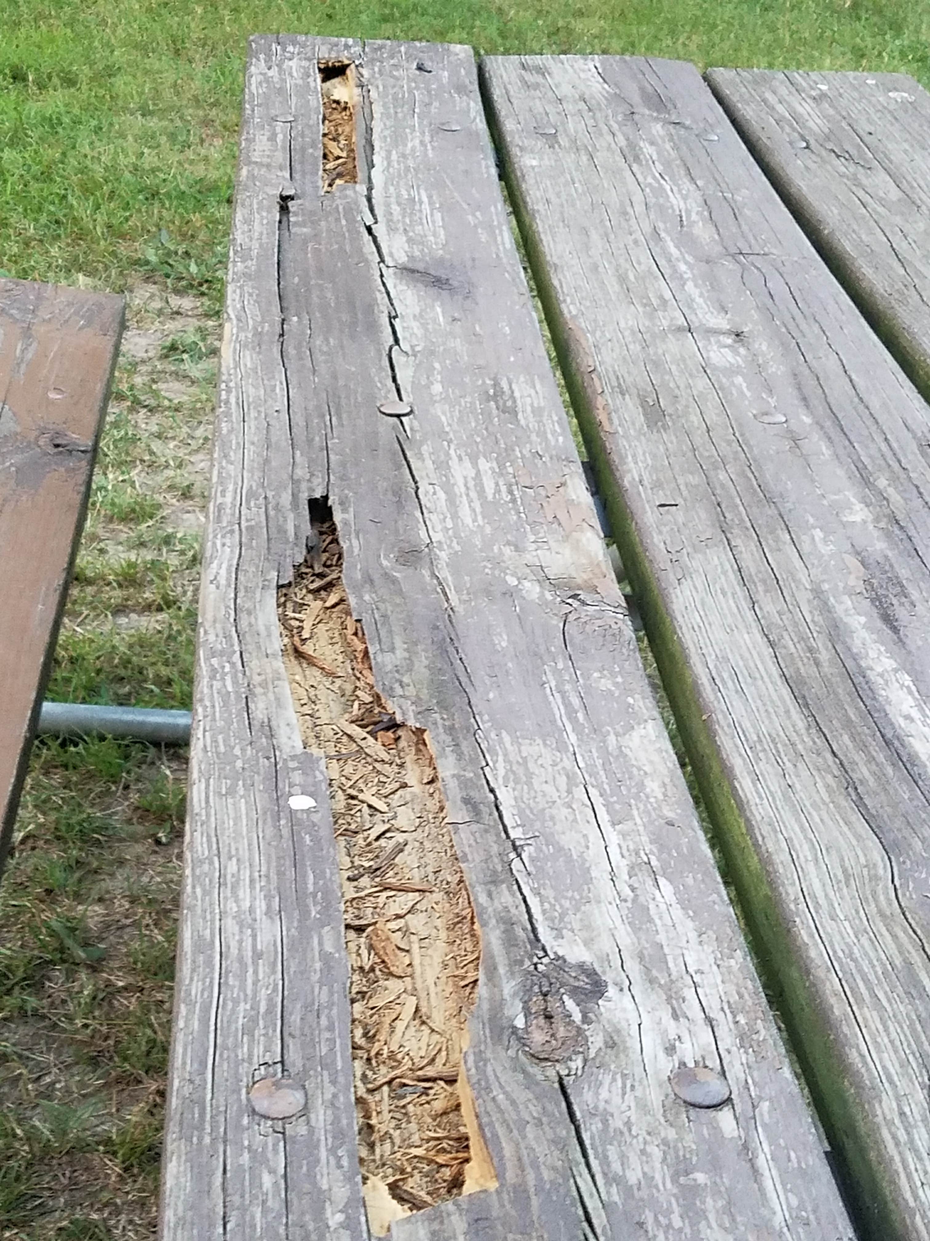 Camper-submitted photo at Kentucky Dam Village State Resort Park near Grand Rivers, KY