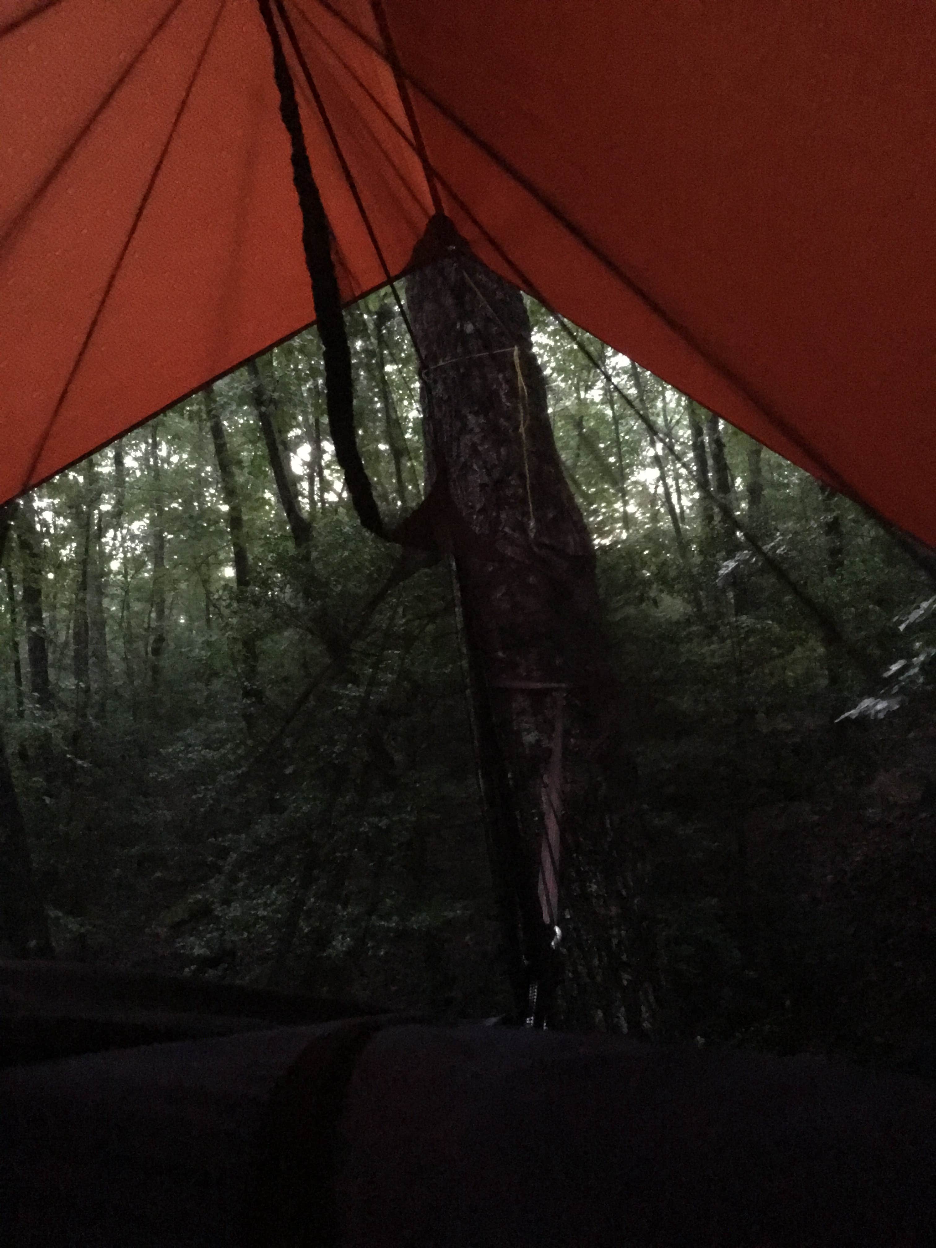 Judah B.'s photo at Cloudland Canyon State Park Campground near Rising Fawn, GA