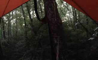 Judah B.'s photo at Cloudland Canyon State Park Campground near Fort Oglethorpe, GA