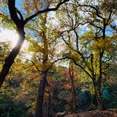 Review photo of Lost Maples State Natural Area by Troy W., December 31, 2019