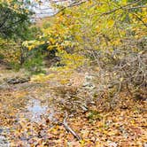 Review photo of Lost Maples State Natural Area by Troy W., December 31, 2019