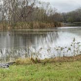 Review photo of Brazos Bend State Park Campground by Troy W., December 31, 2019