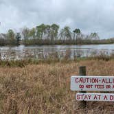 Review photo of Brazos Bend State Park Campground by Troy W., December 31, 2019