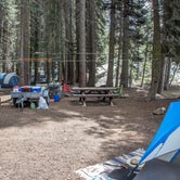 Review photo of Stanislaus River Campground by Darrin L., June 20, 2016