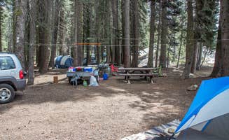 Darrin L.'s photo at Stanislaus River Campground near Stanislaus National Forest