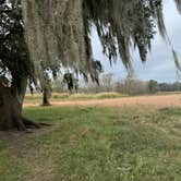 Review photo of Brazos Bend State Park Campground by Troy W., December 31, 2019