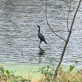 Review photo of Brazos Bend State Park Campground by Troy W., December 31, 2019