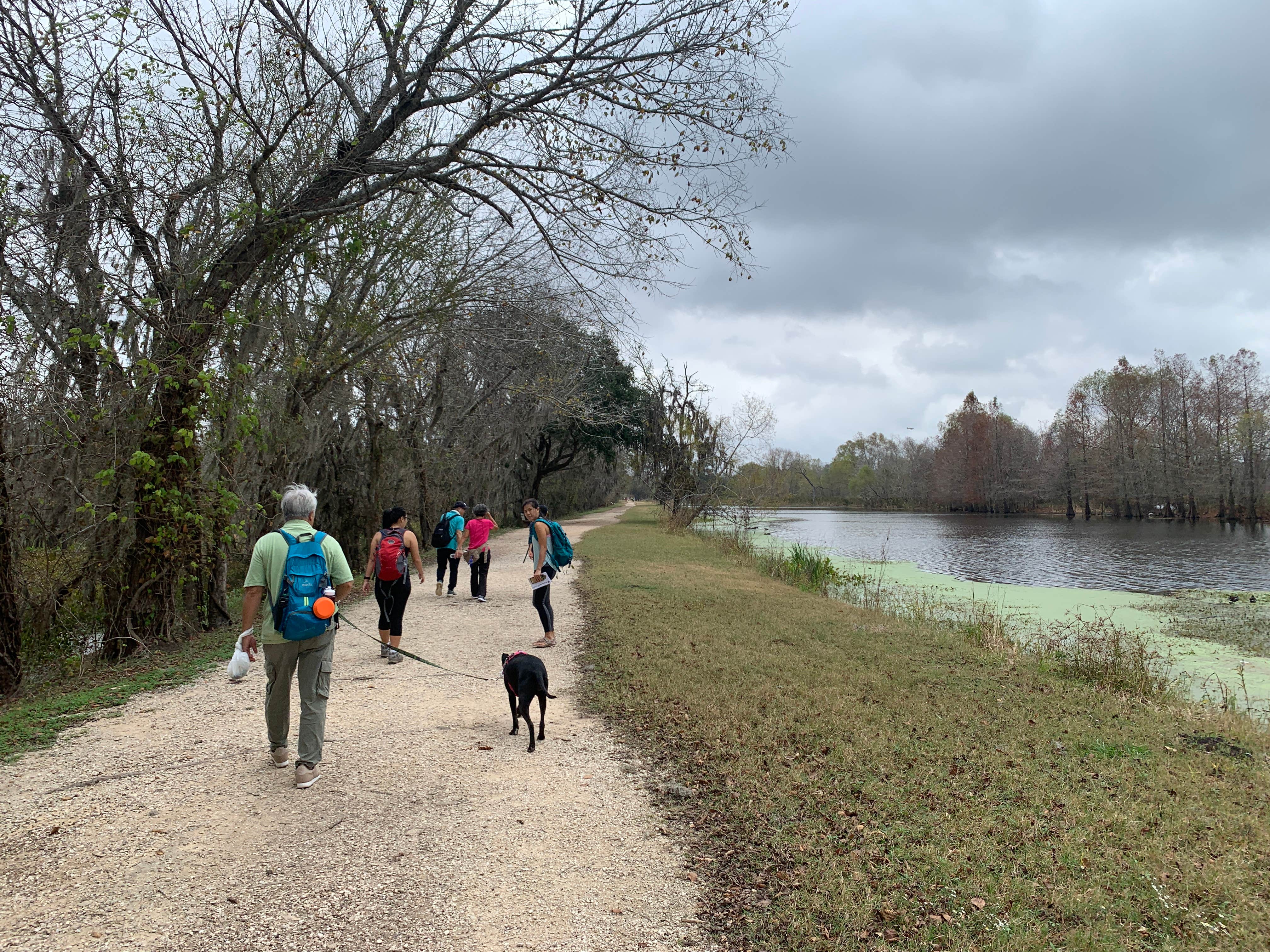 Troy W.'s photo of camping with pets at Brazos Bend State Park Campground near Angleton, TX