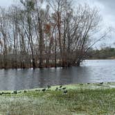 Review photo of Brazos Bend State Park Campground by Troy W., December 31, 2019