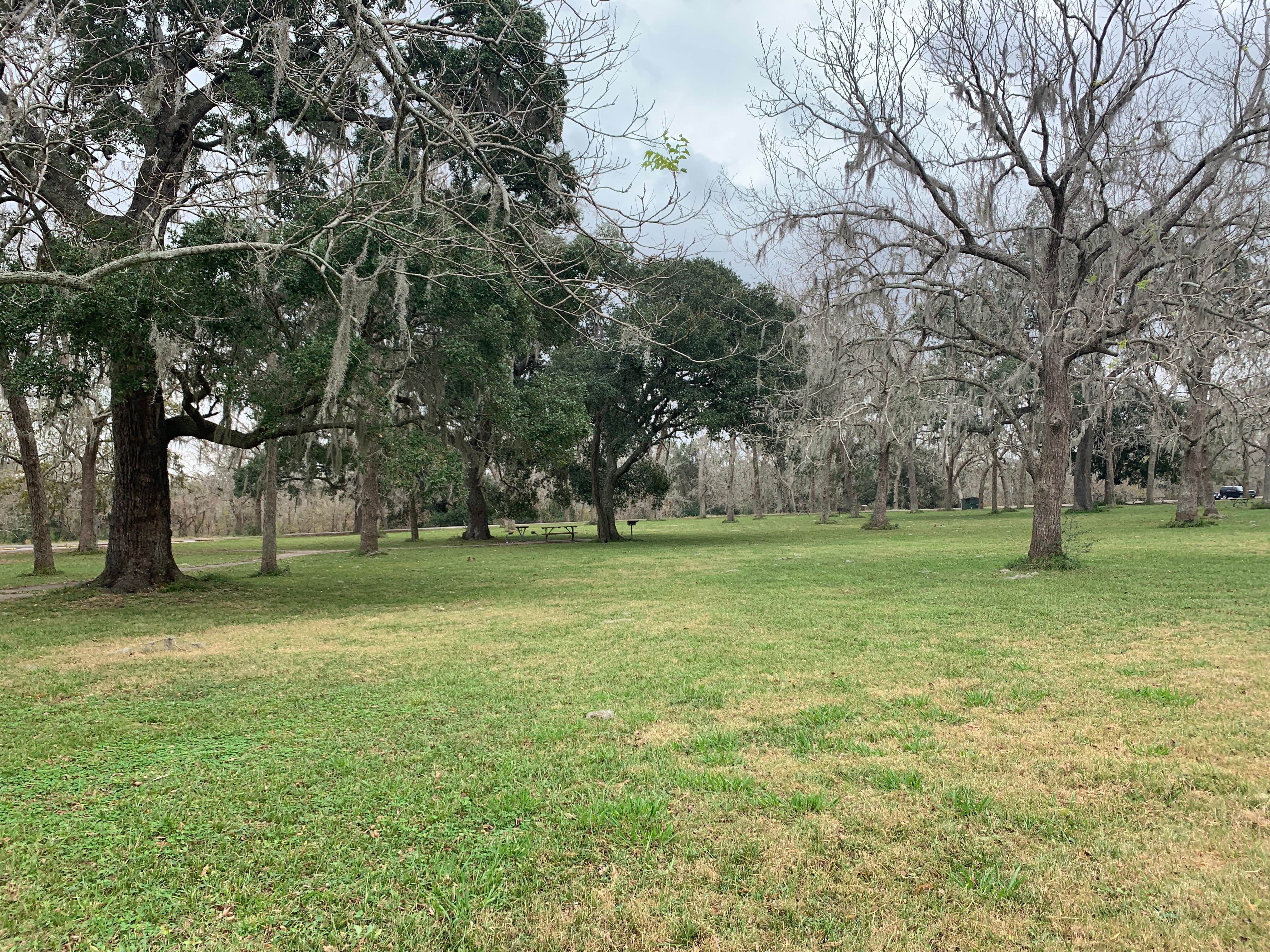 Field