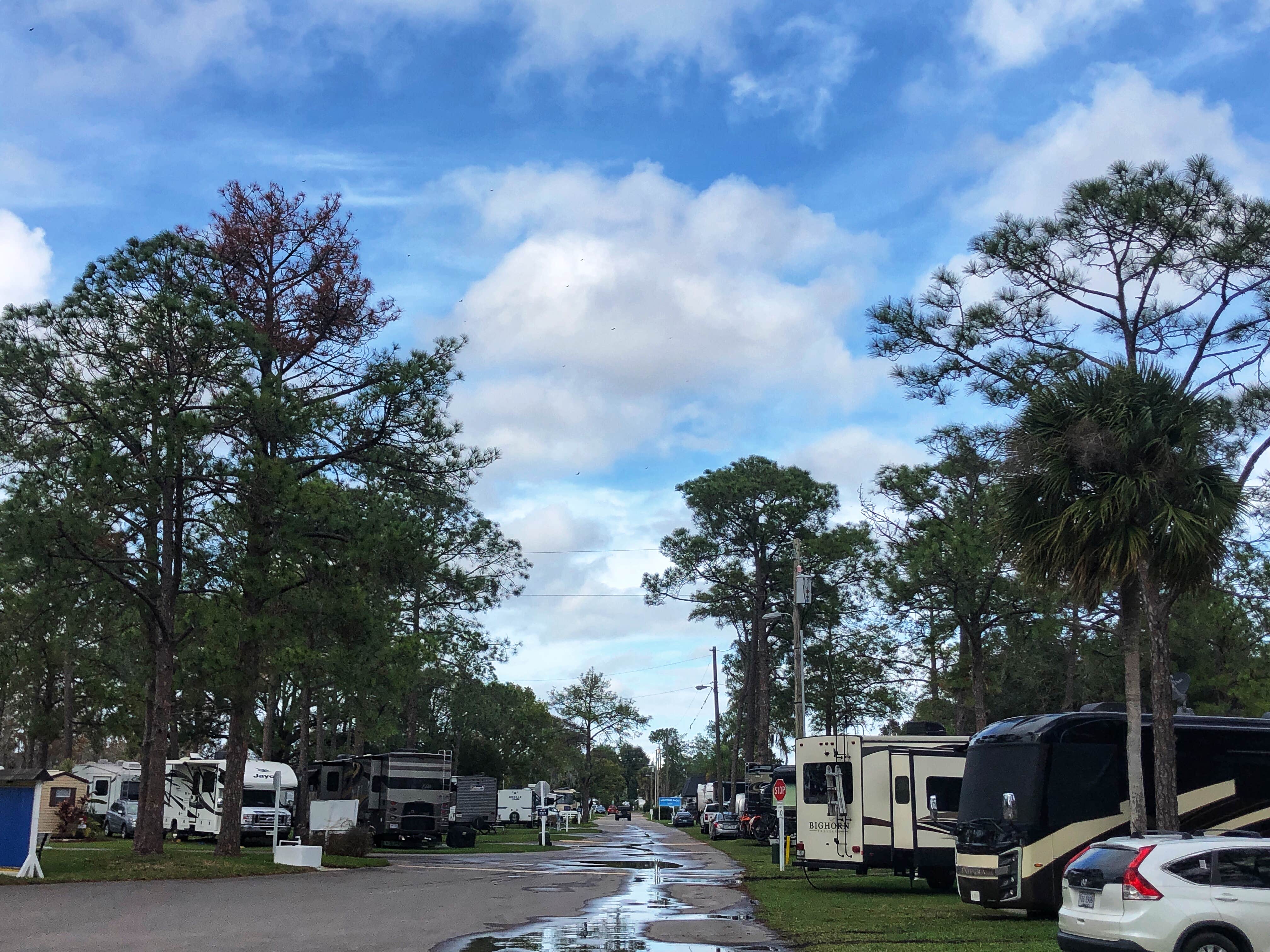 Camper submitted image from Winter Garden - 4