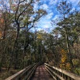 Review photo of Reed Bingham State Park Campground by Travyl Couple !., January 1, 2020