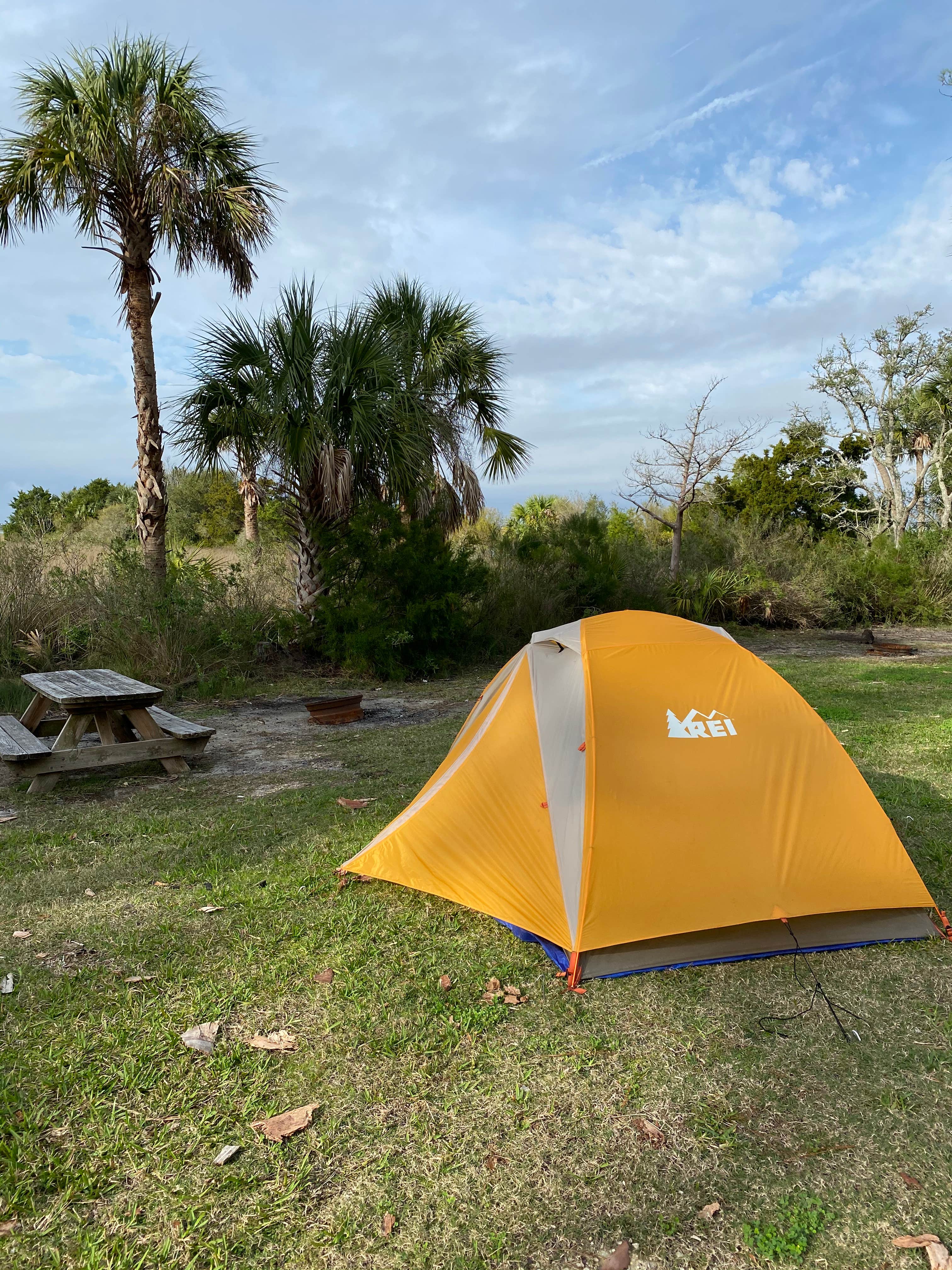 Camper submitted image from Shell Mound Campground - 3