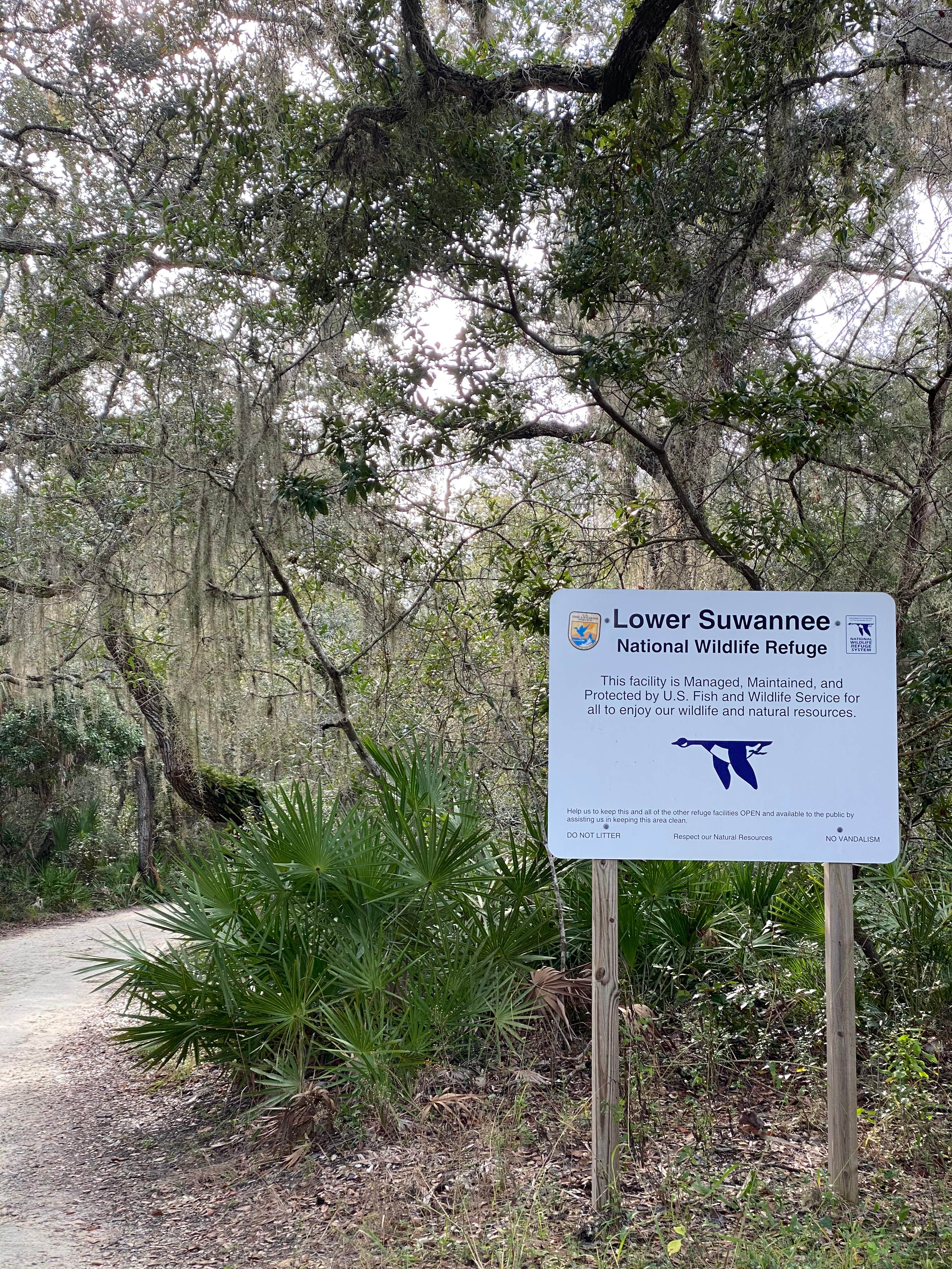 Camper submitted image from Shell Mound Campground - 4