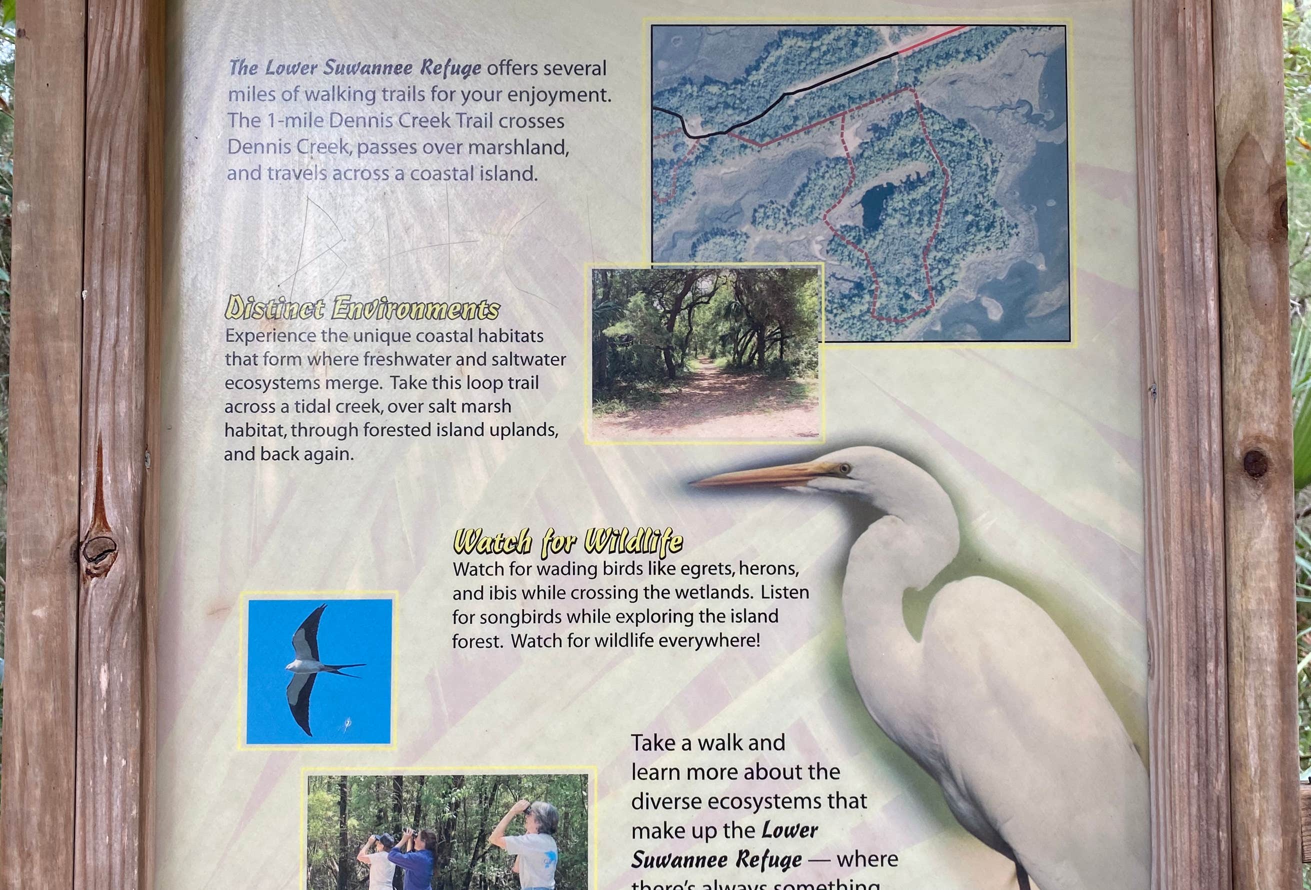 Shellmound Cedar Key Shell Mound Campground | Cedar Key, Florida