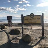 Review photo of Thornhill Broome Beach — Point Mugu State Park by C N., January 1, 2020