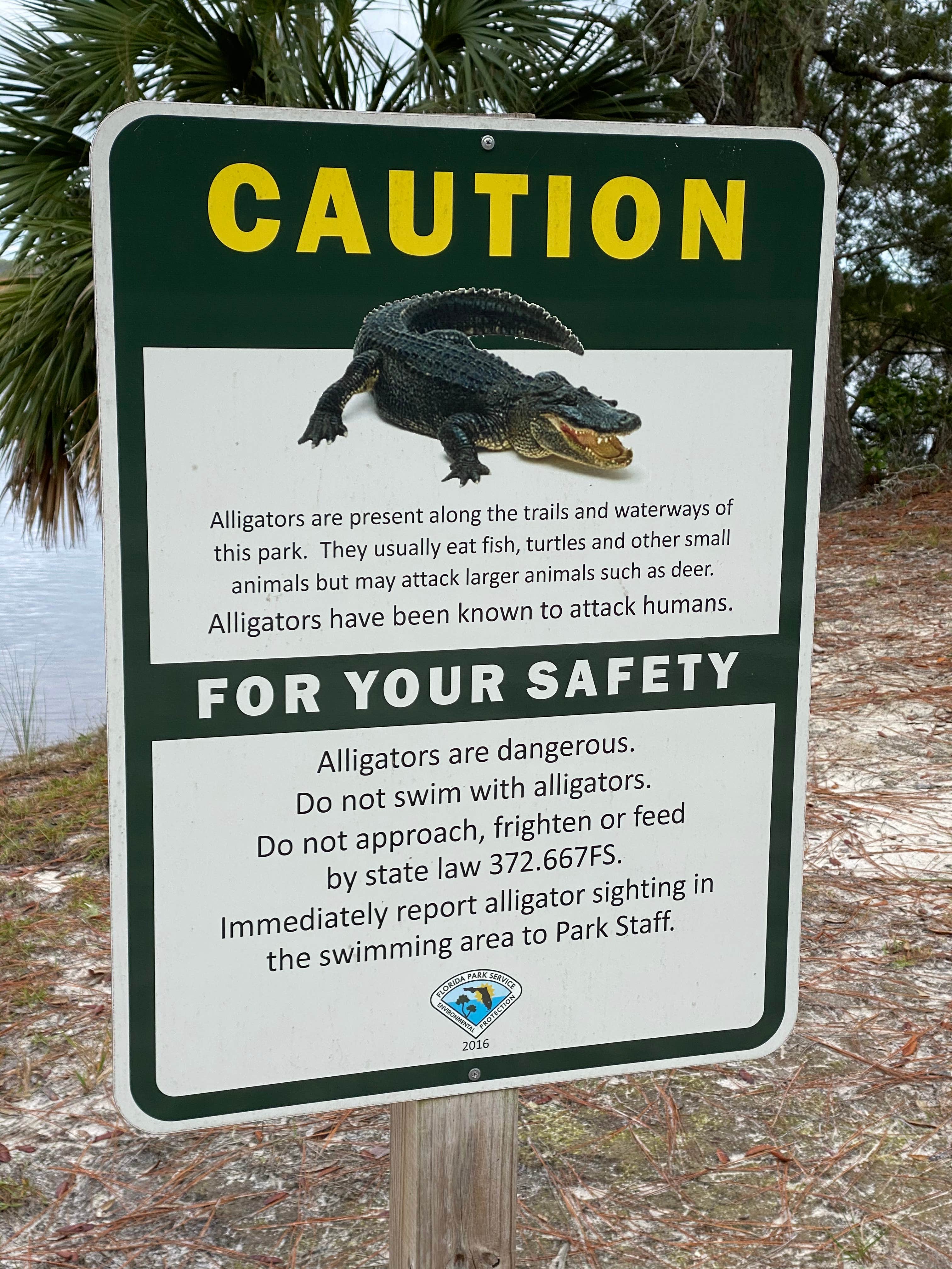 Camper submitted image from Ochlockonee River State Park Campground - 4