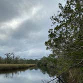 Review photo of Ochlockonee River State Park Campground by Annie C., January 1, 2020