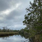 Review photo of Ochlockonee River State Park Campground by Annie C., January 1, 2020