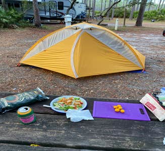 Camper-submitted photo from Ochlockonee River State Park Campground