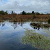 Review photo of Paynes Prairie Preserve State Park Campground by Annie C., January 1, 2020