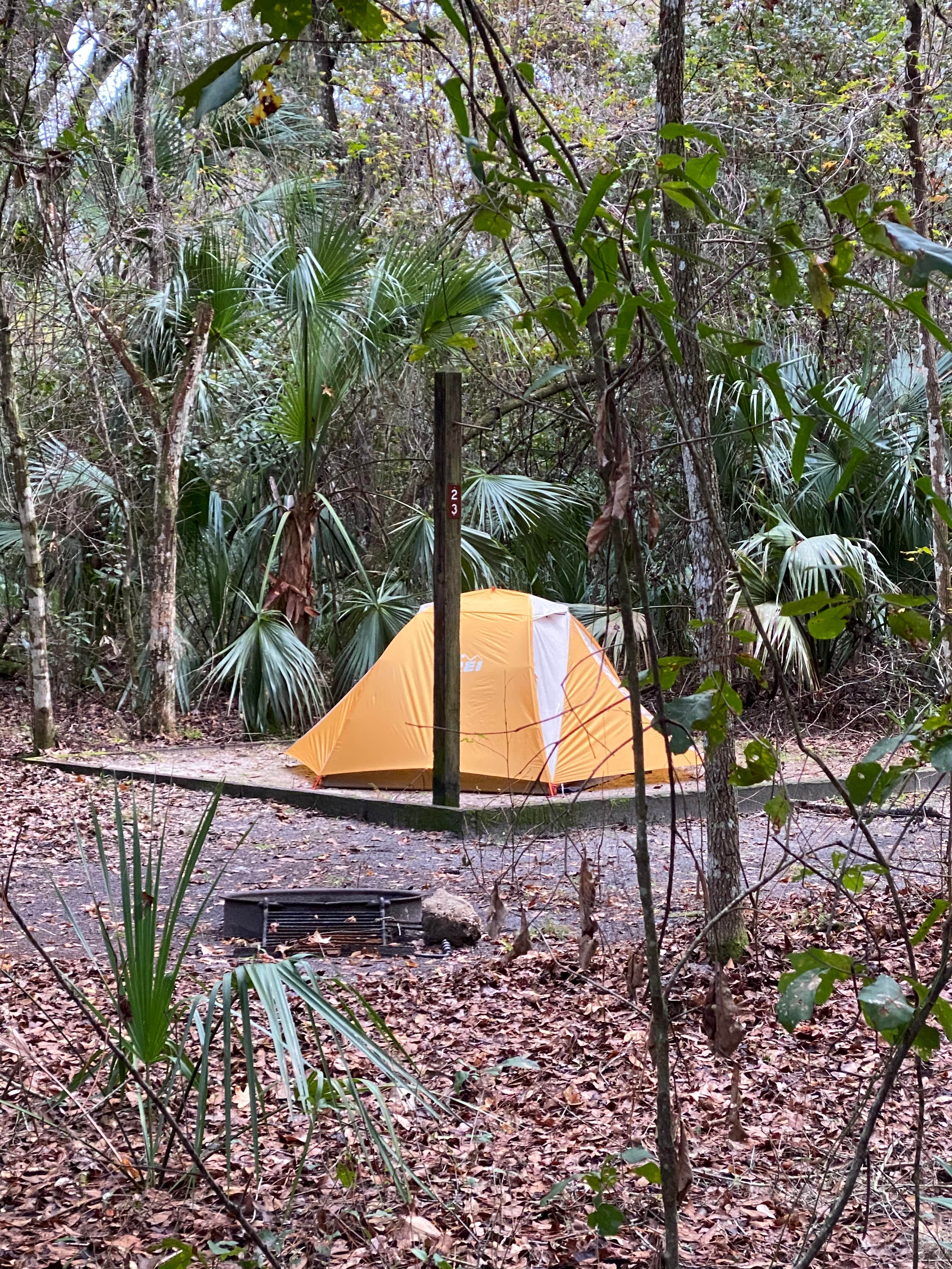Annie C.'s photo at Paynes Prairie Preserve State Park Campground near Reddick, FL