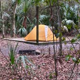 Review photo of Paynes Prairie Preserve State Park Campground by Annie C., January 1, 2020