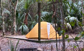 Annie C.'s photo at Paynes Prairie Preserve State Park Campground near Archer, FL